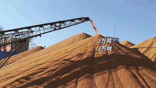 國常會(huì)重磅！實(shí)施新一輪千億斤糧食產(chǎn)能提升行動(dòng)